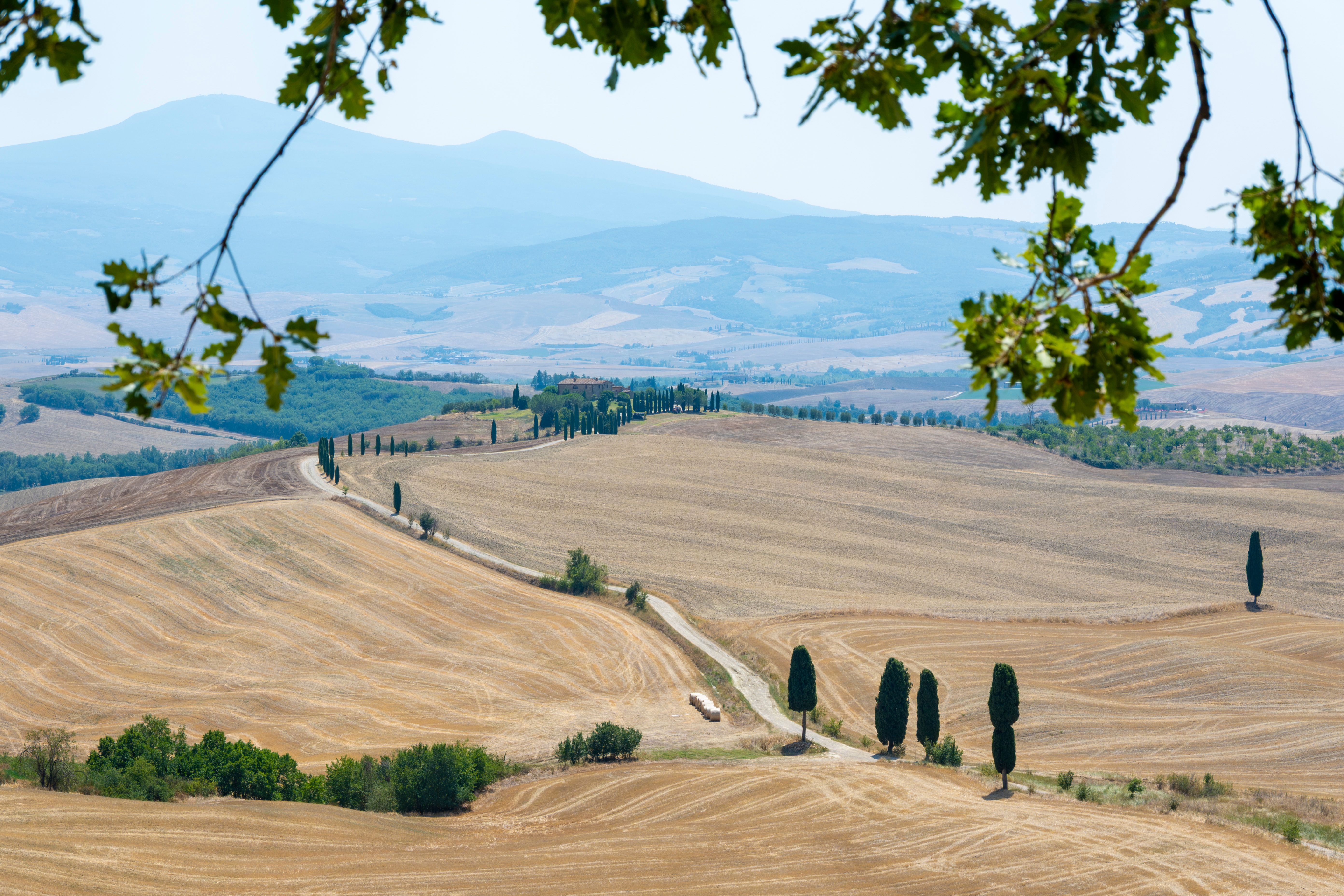 Beautiful Tuscan countryside with rolling hills, cypress trees, and distant mountains in summer.