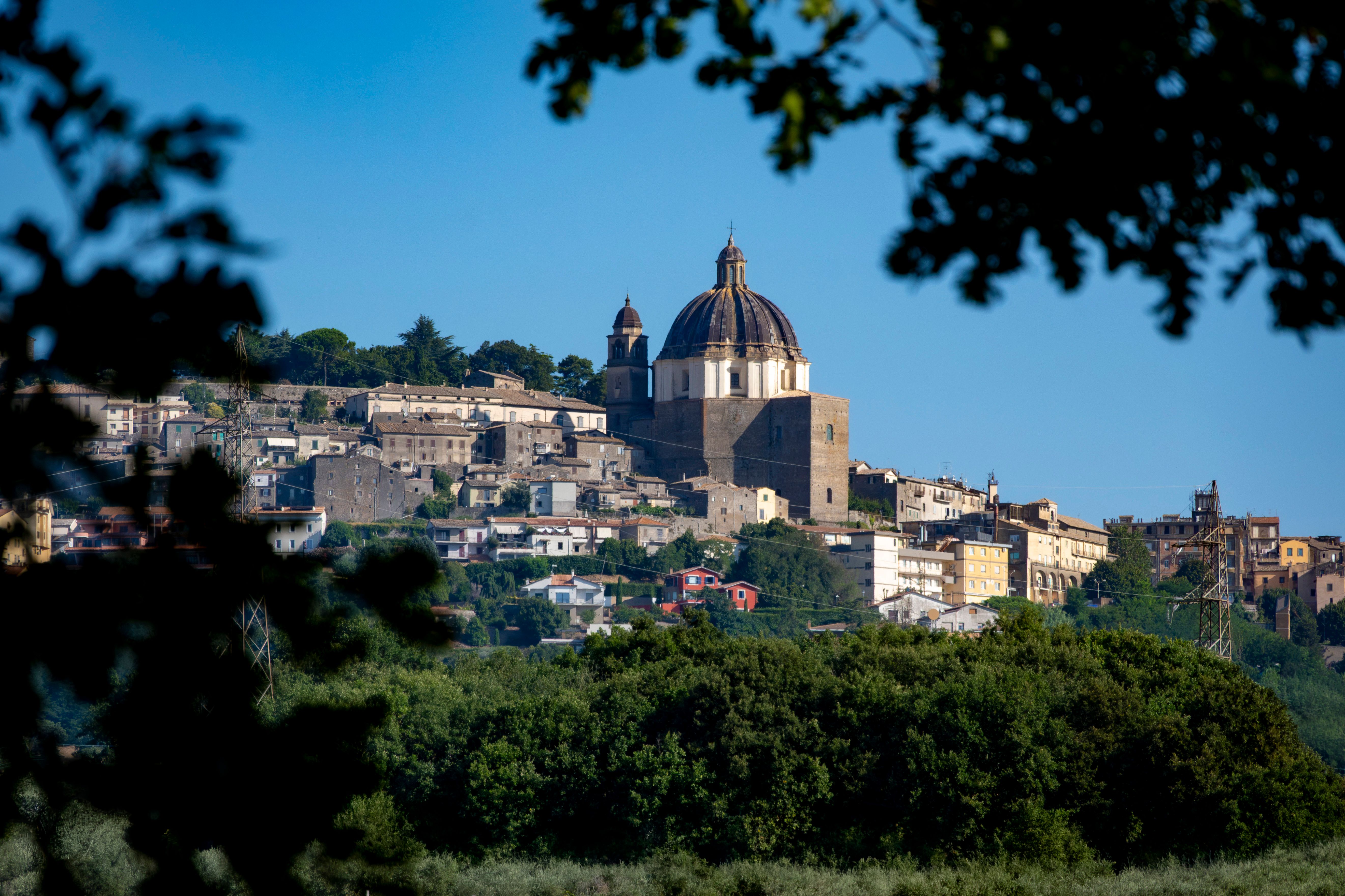 A breathtaking view of Montefiascone's historic architecture nestled in lush greenery under a clear sky.
