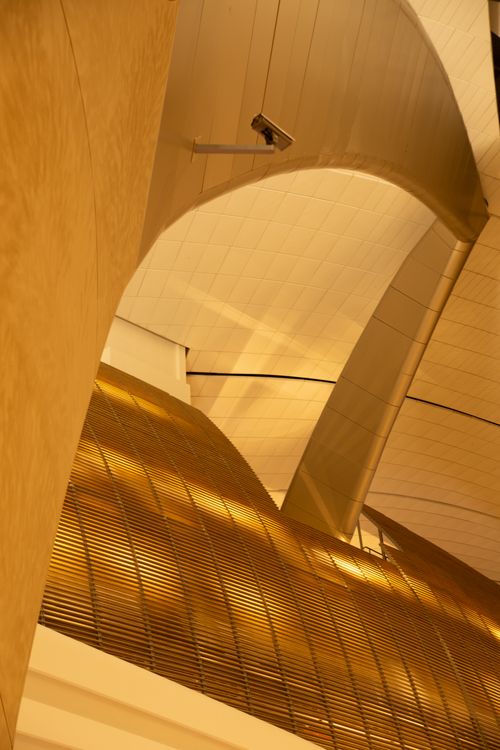 Free A striking modern architectural interior featuring curved ceilings and golden tones. Stock Photo