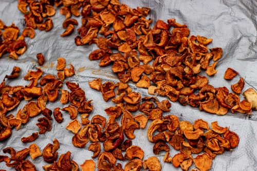 Free A detailed view of dried apple slices spread on a tarp, highlighting their texture. Stock Photo