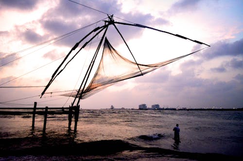 Free stock photo of chinese, fish net, fisherman