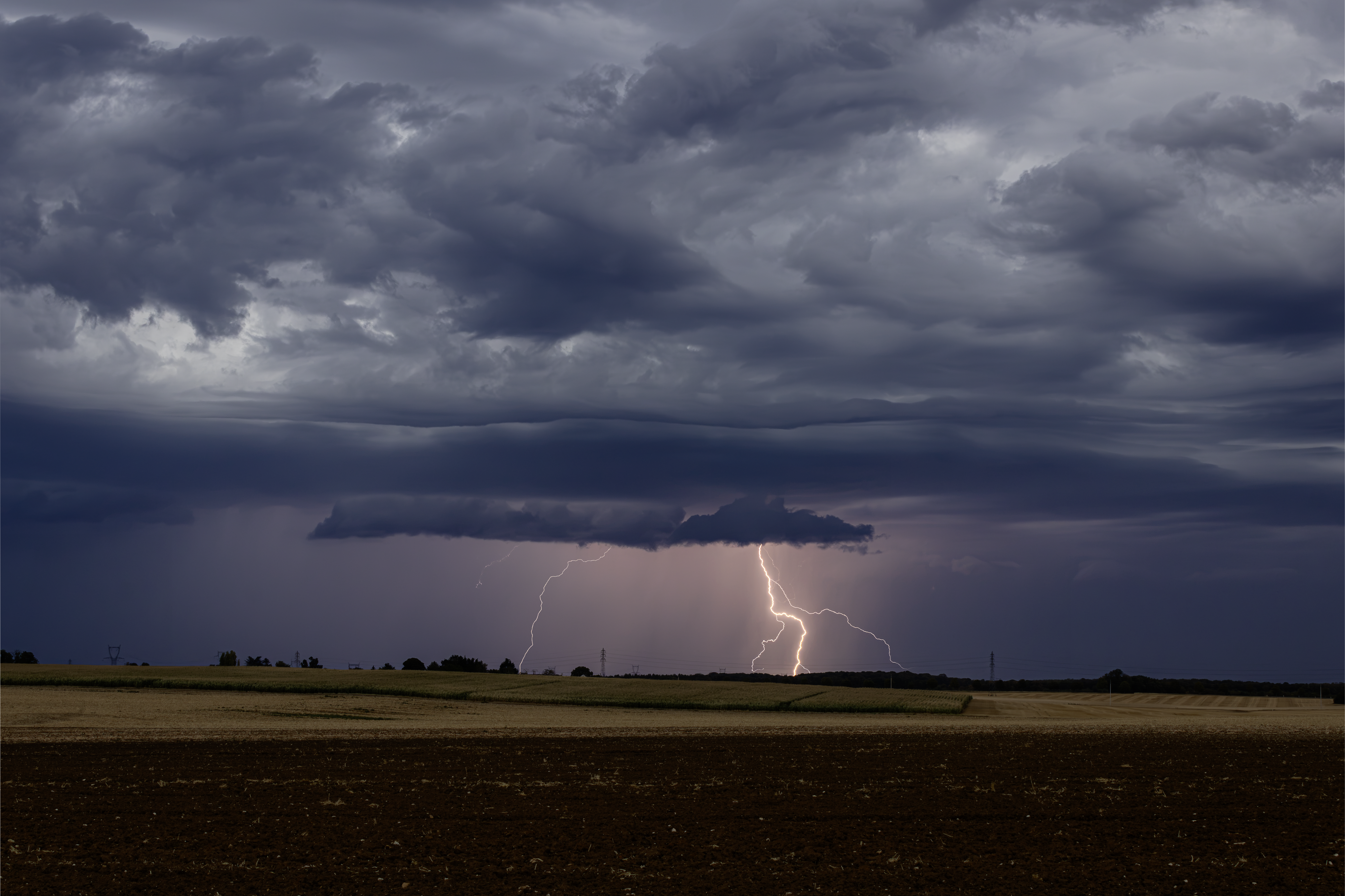 Sujet de stage PFE en agriculture intelligente : détection précoce du stress hydrique avec capteurs et données météo