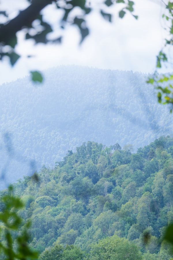 Cimes ensoleillées se fondant dans des montagnes brumeuses aux tons pastel, près de Pau