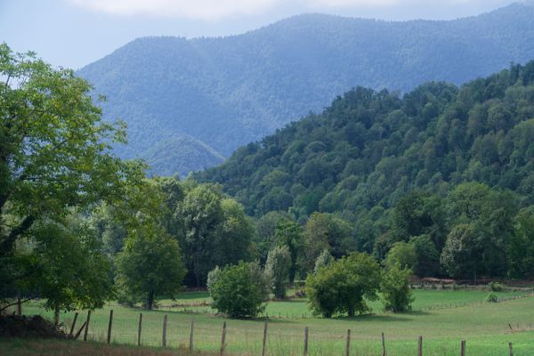 Clôture en bois bordant un pâturage verdoyant sous les contreforts des Pyrénées