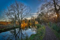 宁静的河畔，光秃秃的树木倒映在平静的水中，这是自然爱好者的完美去处