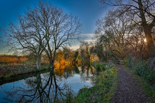 宁静的河畔景色中，光秃秃的树木倒映在平静的水面上，这是自然爱好者的完美去处
