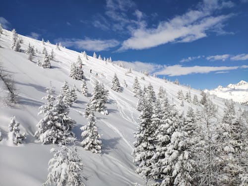 Montaña Cubierta De Nieve Bajo Un Cielo Azul