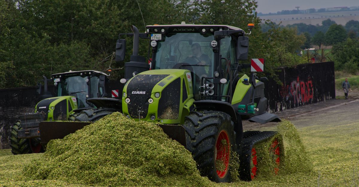 Cómo la agricultura moderna multiplicó la población mundial Cómo la agricultura moderna multiplicó la población mundial