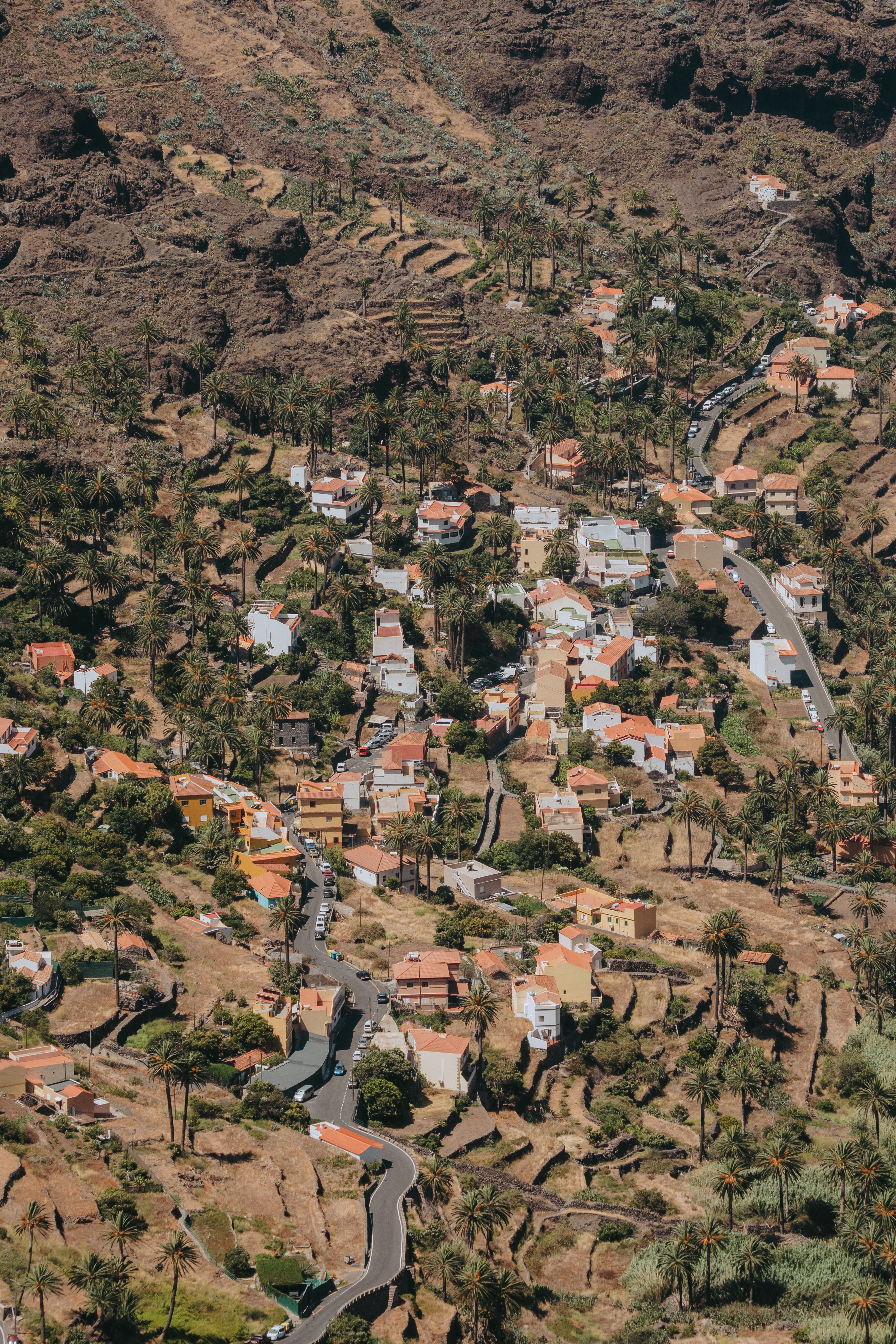Beautiful aerial view of Valle Gran Rey village with terraced landscapes and palm trees, Canary Islands.
