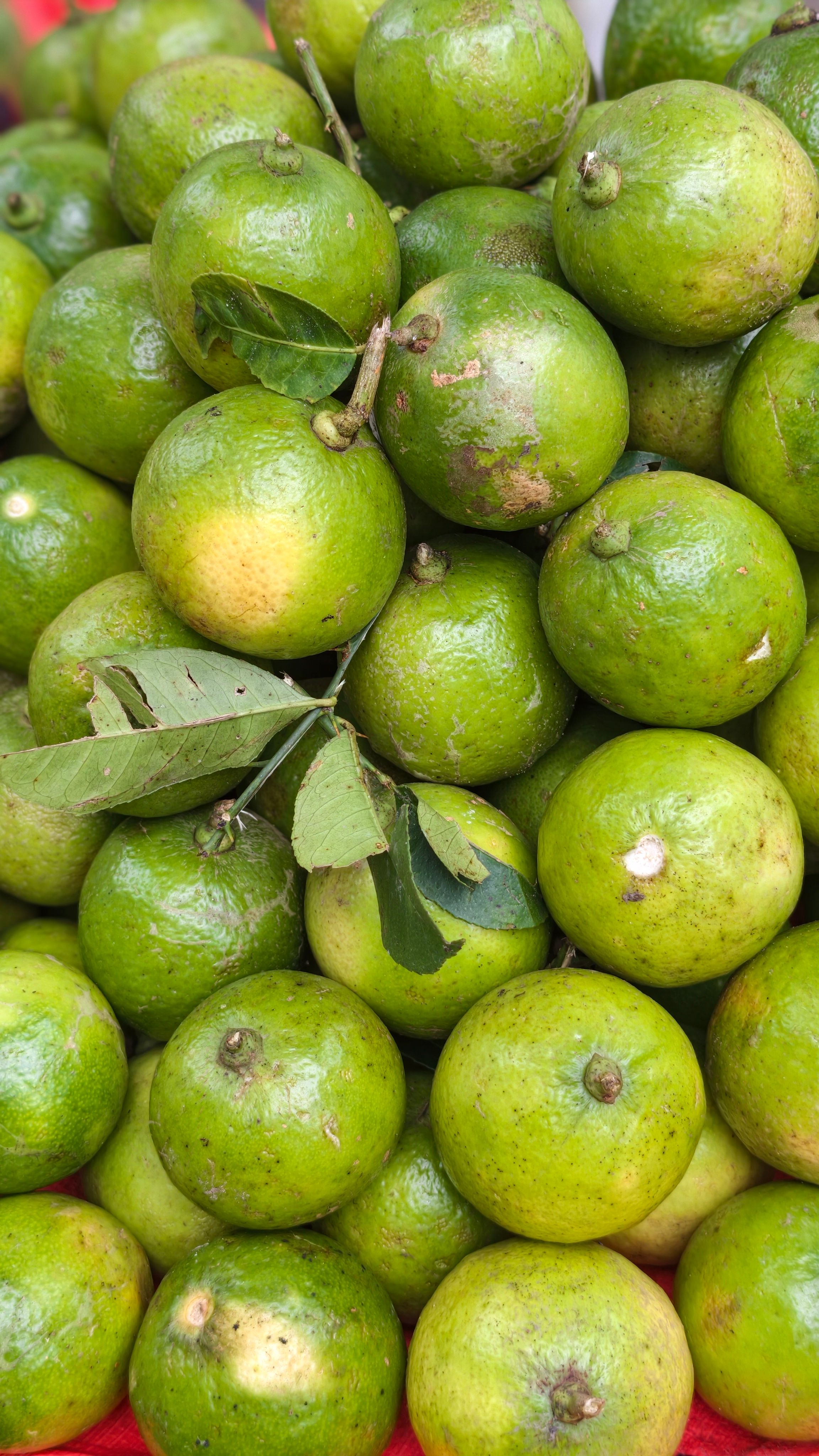 A vibrant stack of fresh green limes with leaves, showcasing natural citrus appeal.