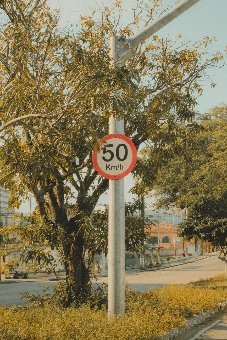 Arméria celebra o 50.º passeio pedestre com percurso até Peniche