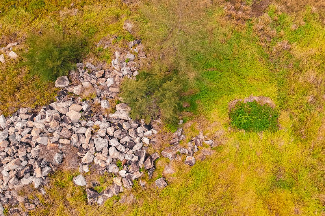 Aerial Shot Of Grass Field And Rocks