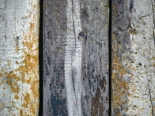 Free Close-up of weathered wooden planks displaying unique and rustic texture, perfect for backgrounds and design projects. Stock Photo