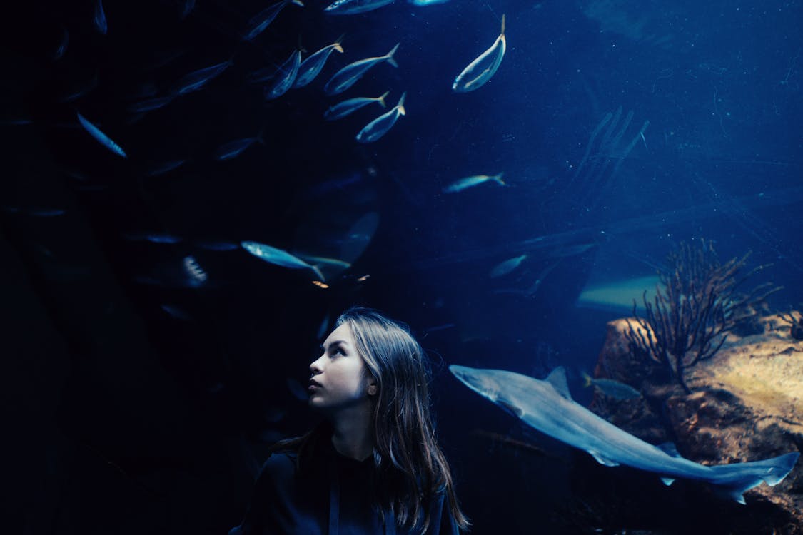 Woman Standing beside an Aquarium 