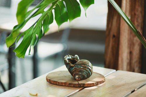 Free A ceramic shell decoratively placed on a wooden table, framed by a lush monstera leaf indoors. Stock Photo