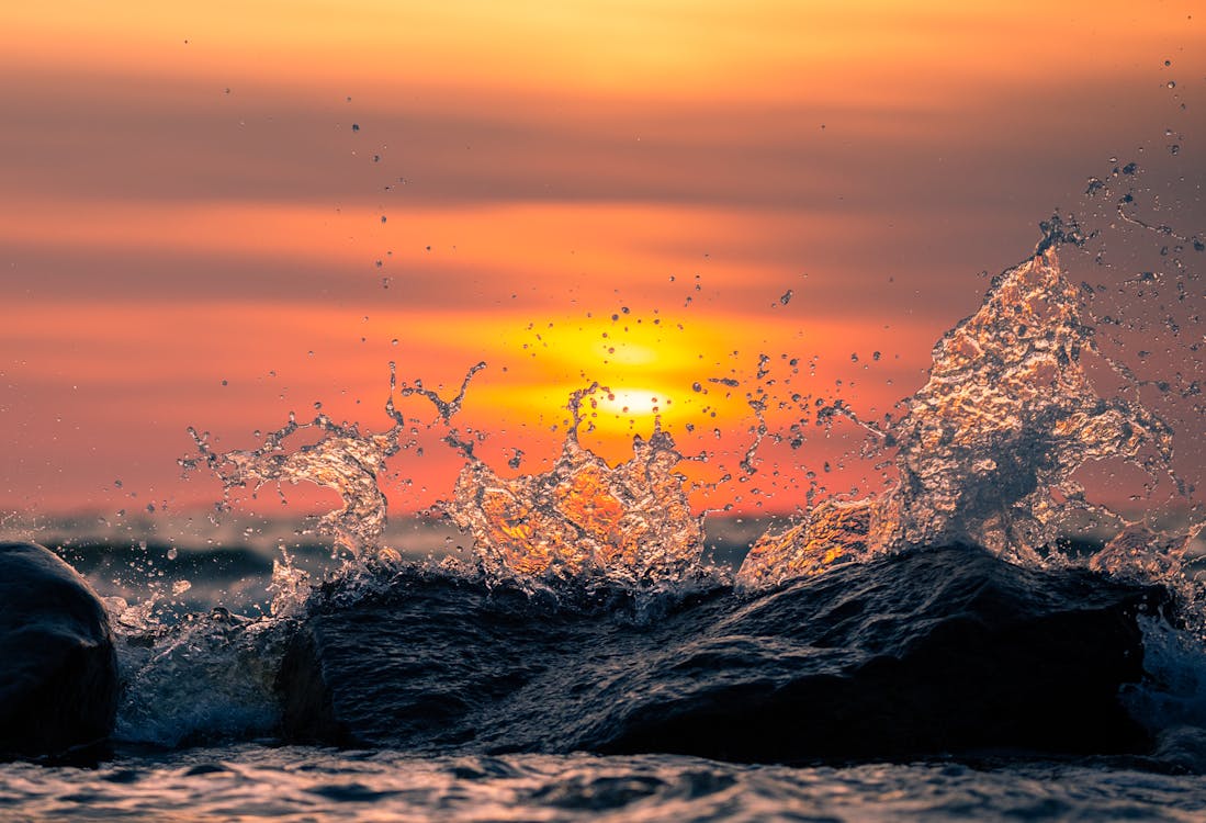 1000+ Great 4k Resolution Photos Pexels · Free Stock Photos