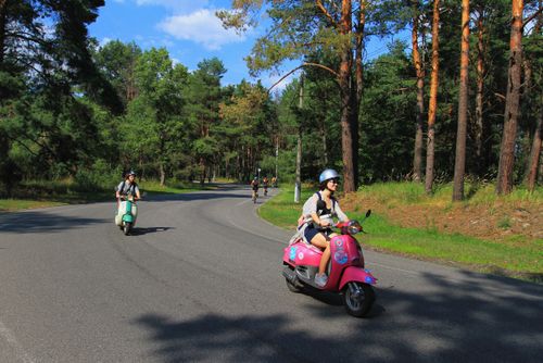Free People riding scooters on a sunny road surrounded by trees. Stock Photo