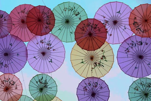 Základová fotografie zdarma na téma barevný, barvy, deštník