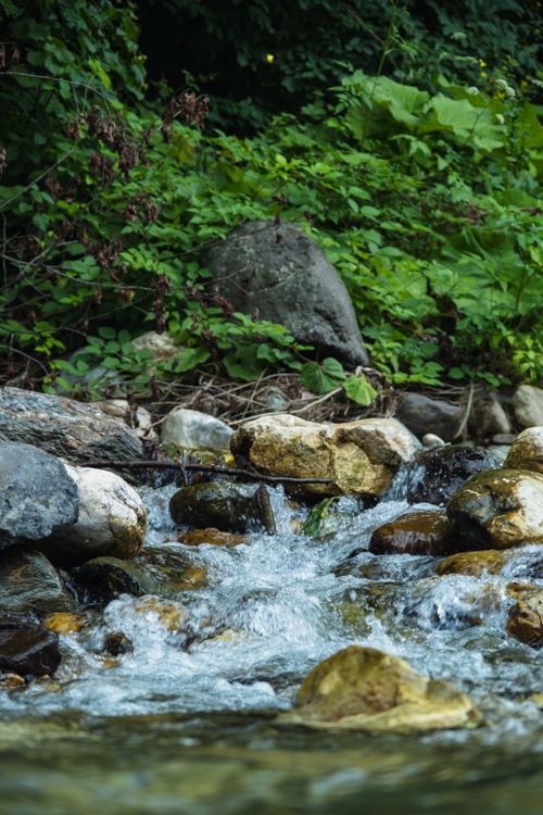 Free A picturesque mountain stream flowing over stones, surrounded by lush greenery, ideal for nature-themed projects. Stock Photo