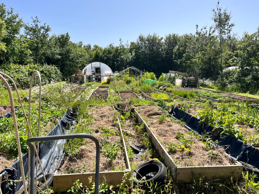 Raised Beds vs. Container Gardening in Nigeria: Pros and Cons