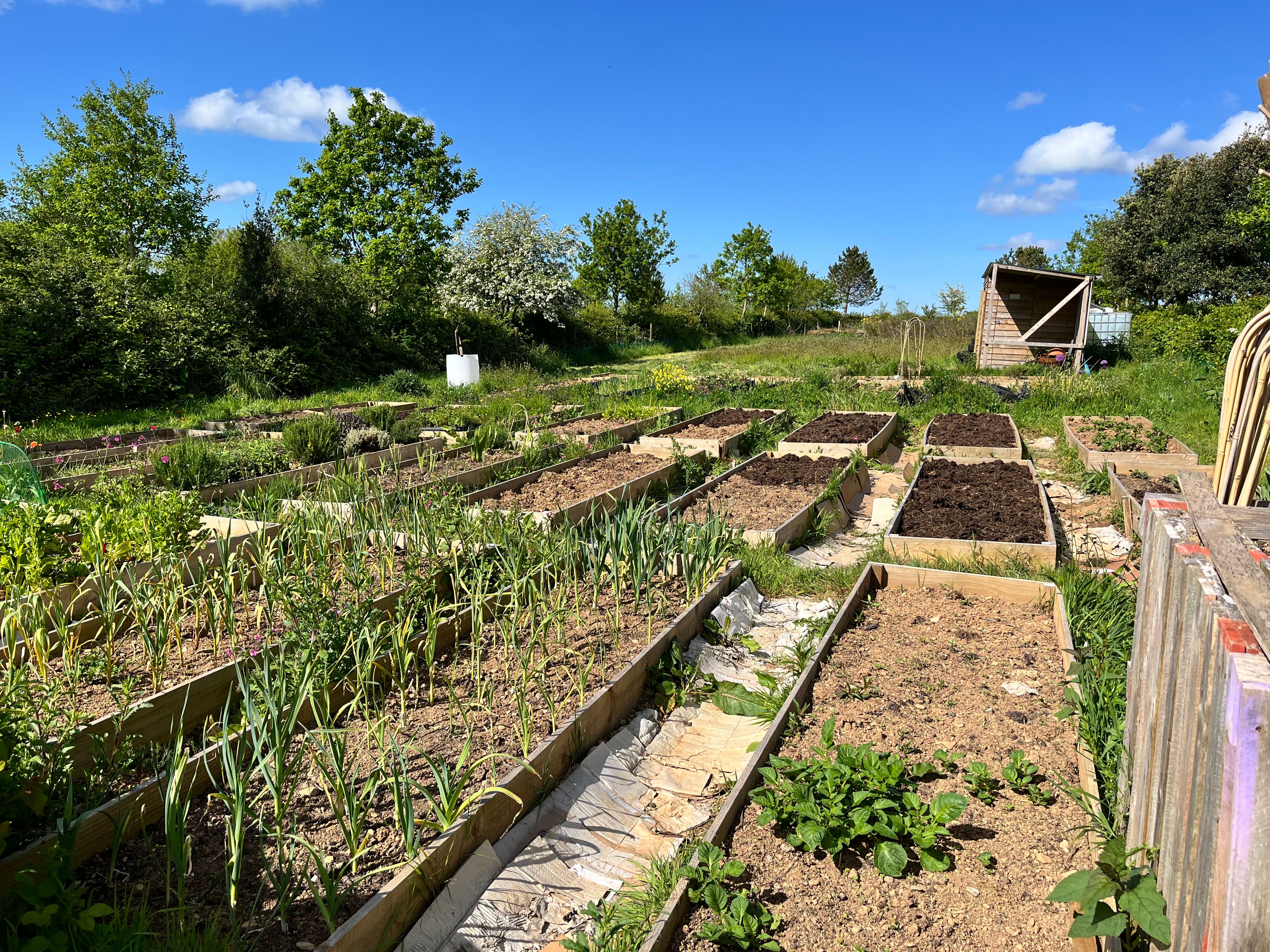well-drained raised garden beds UK