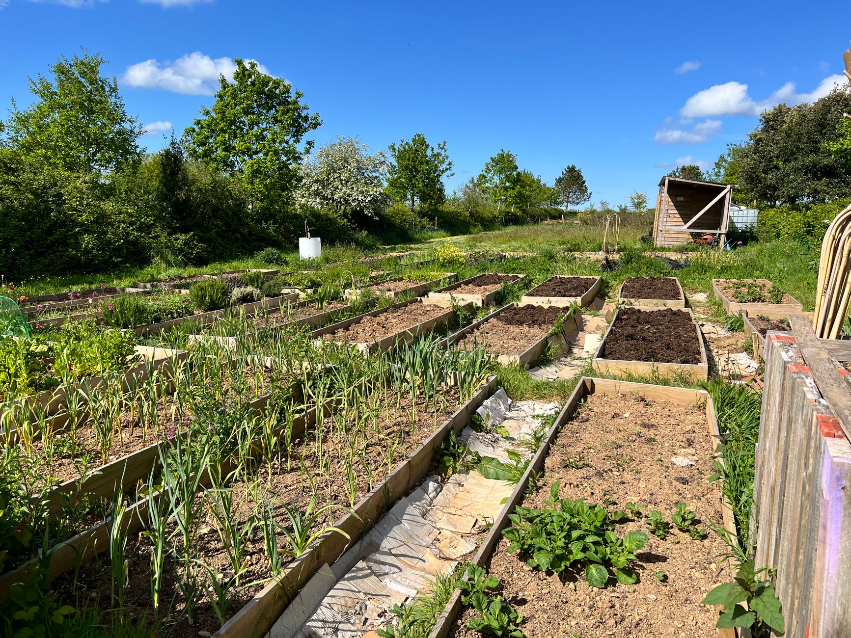 well-drained raised garden beds UK