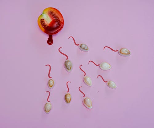 Безкоштовне стокове фото на тему «концептуальний, кров, менструації»