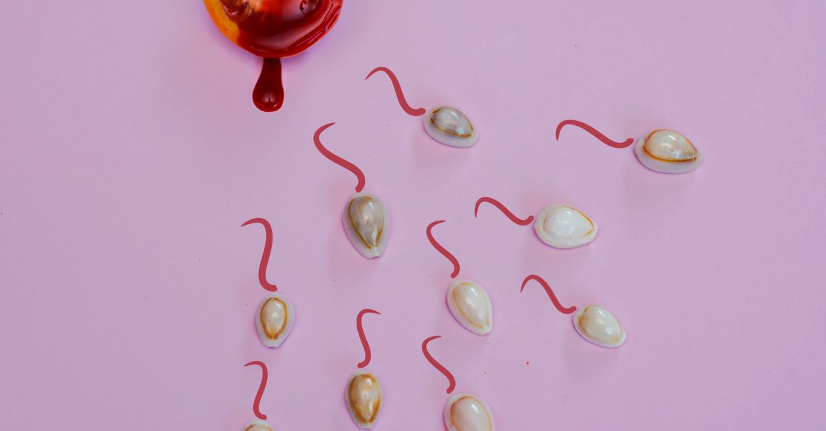 Sperm Cells May Work Together to Reach the Egg, Study Suggests