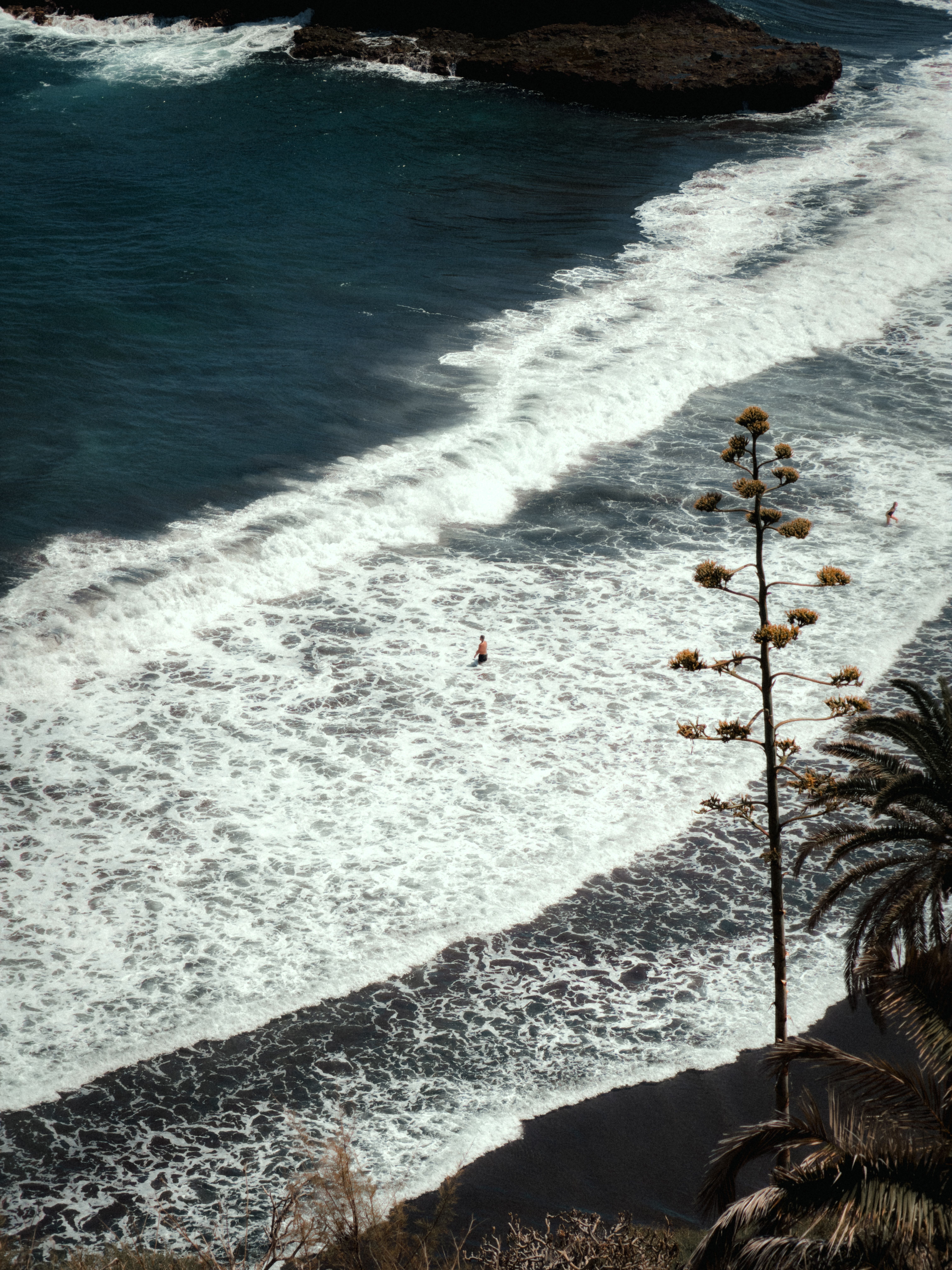 Aerial view of a tranquil beach in the Canary Islands with waves and palm trees.