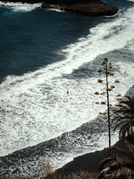 Aerial view of a tranquil beach in the Canary Islands with waves and palm trees.