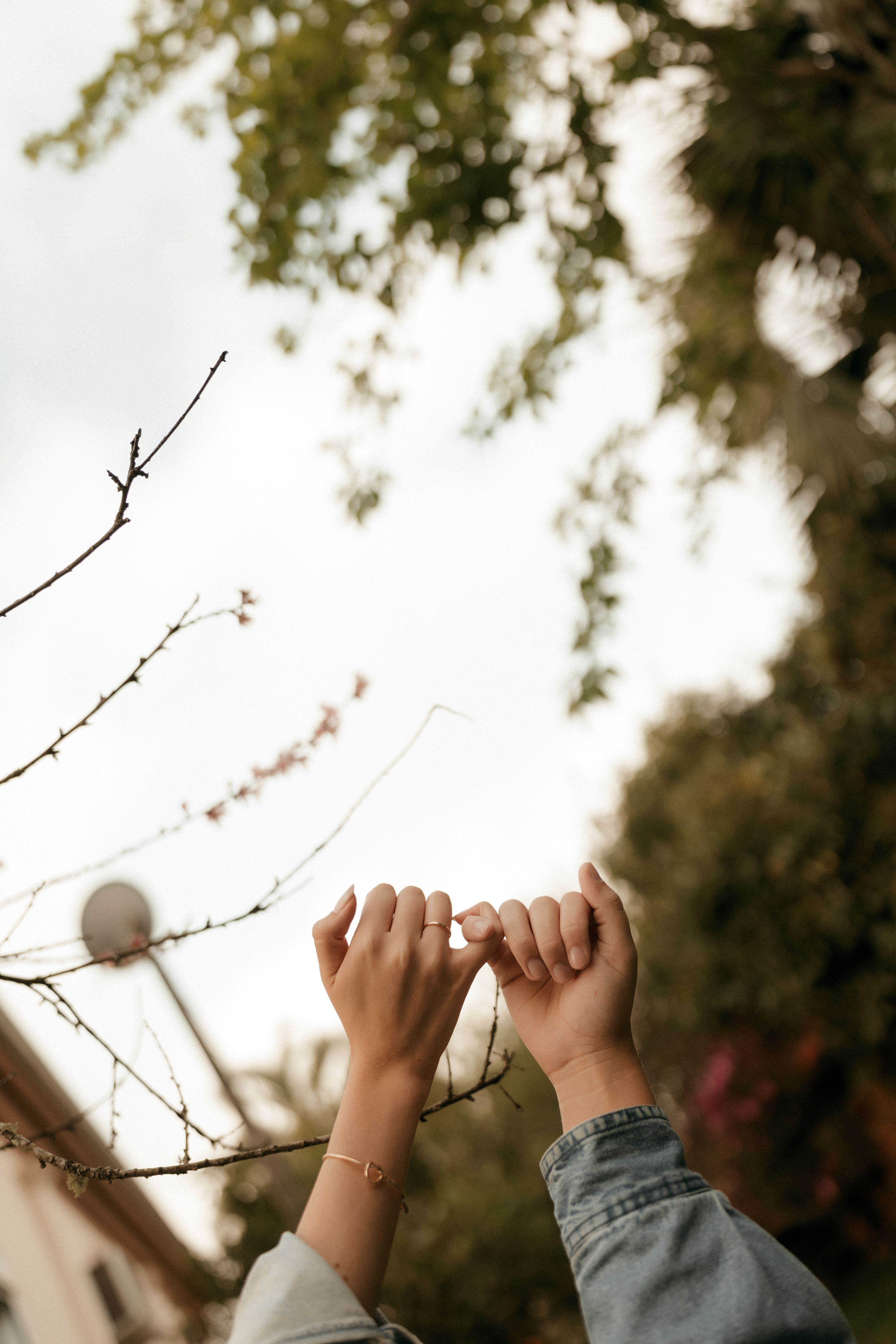 Two hands making a pinky promise with a tree canopy background, emphasizing connection.