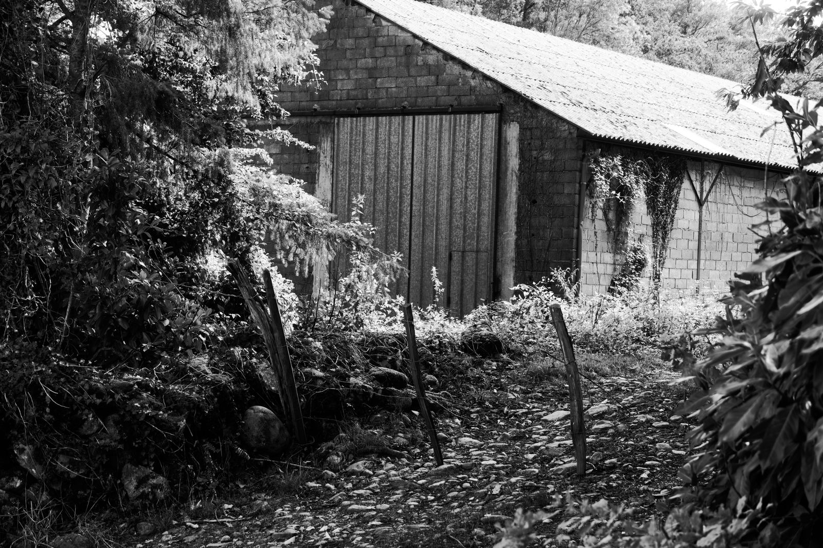 Vieille grange en pierre sur une ferme française, en noir et blanc
