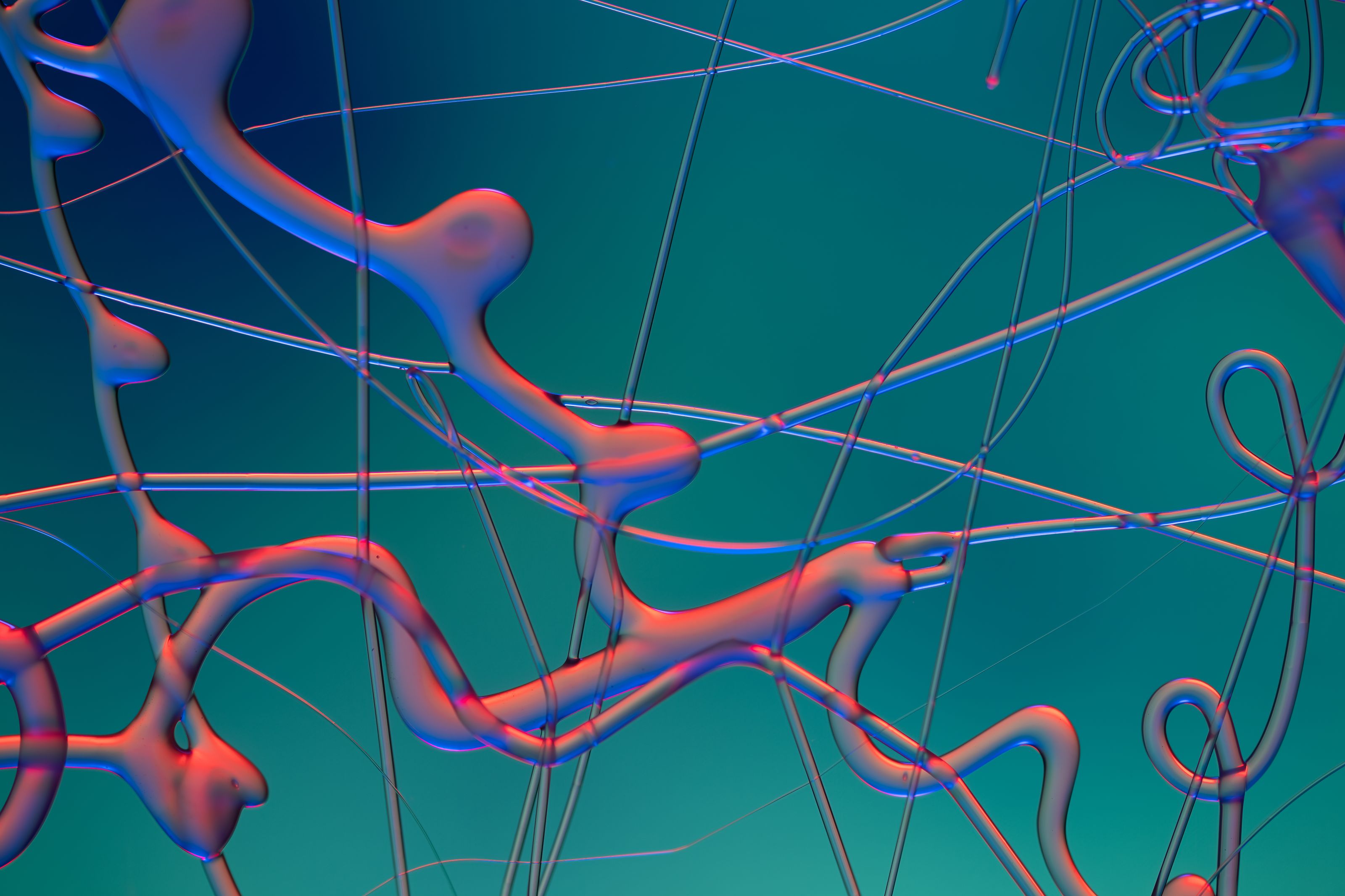 Dynamic abstract image featuring looping fluid lines against a vivid gradient backdrop. Ideal for creative design uses.