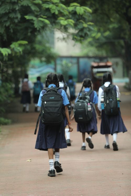 Free Group of schoolgirls walking together outdoors on a path lined with trees. Stock Photo
