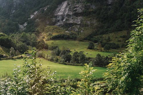 Bezpłatne Darmowe zdjęcie z galerii z na dworze, natura, norwegia Zdjęcie z galerii