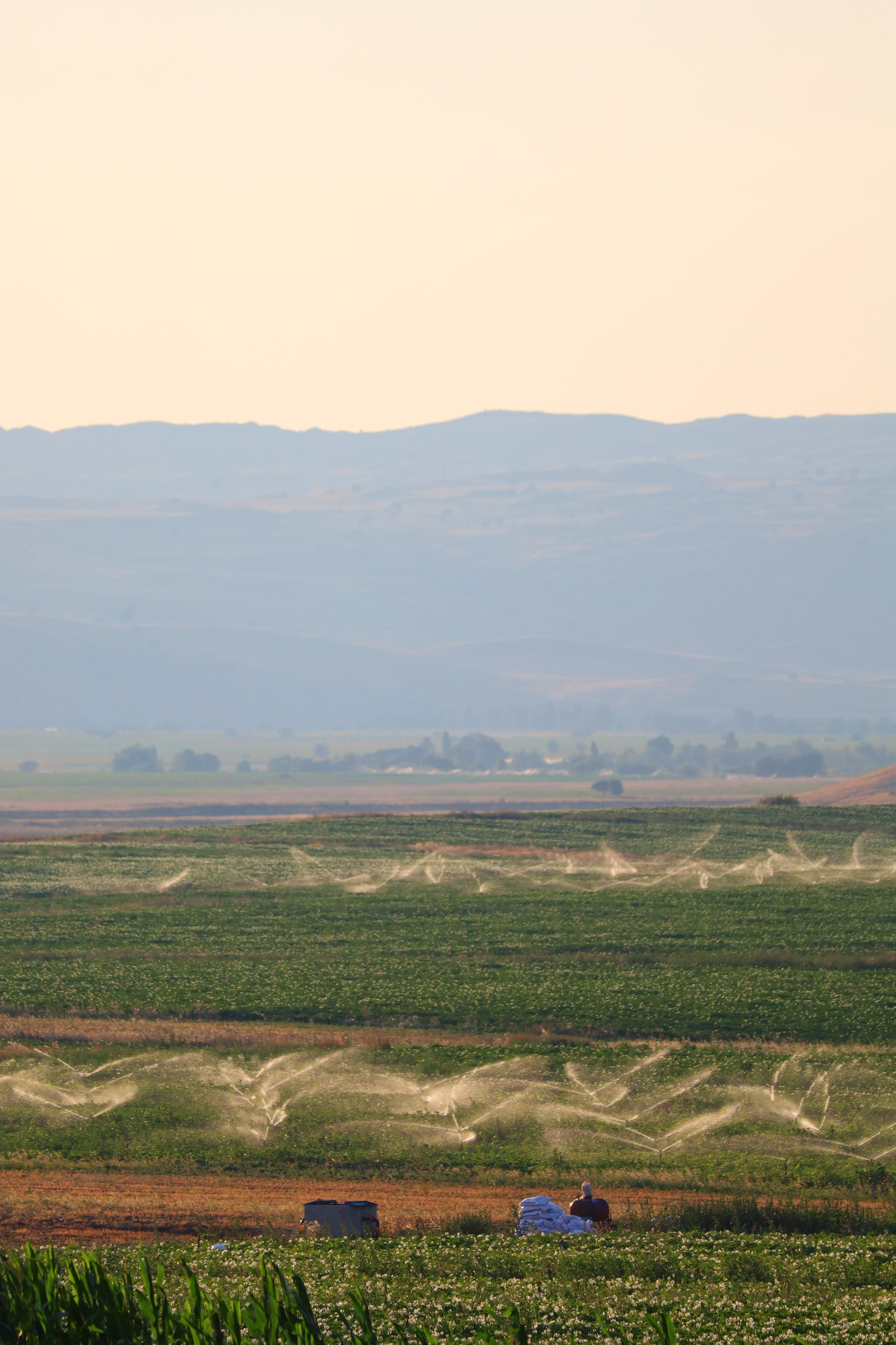 El impacto de la agricultura en la expansión y sostenimiento de la población
