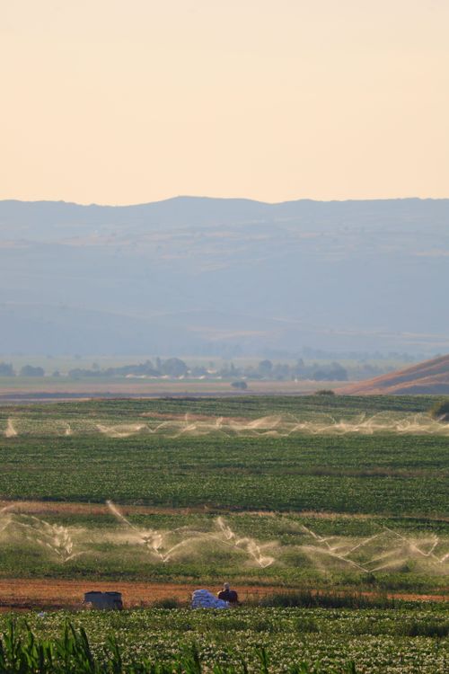 Free Vast farmland with irrigation systems under a clear sky, hills in the distance. Stock Photo