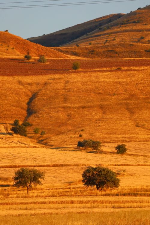 Free Capture of a scenic landscape with golden hills at sunset, evoking serenity and nature's beauty. Stock Photo