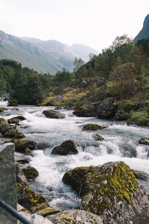 Free Tranquil river flowing through a lush mountain landscape with mossy rocks and greenery. Stock Photo