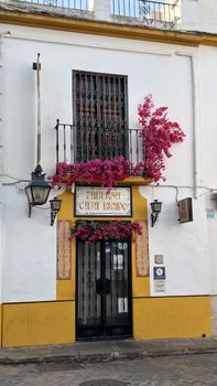 Historic taberna in Córdoba with vibrant bougainvillea, traditional Andalusian style.