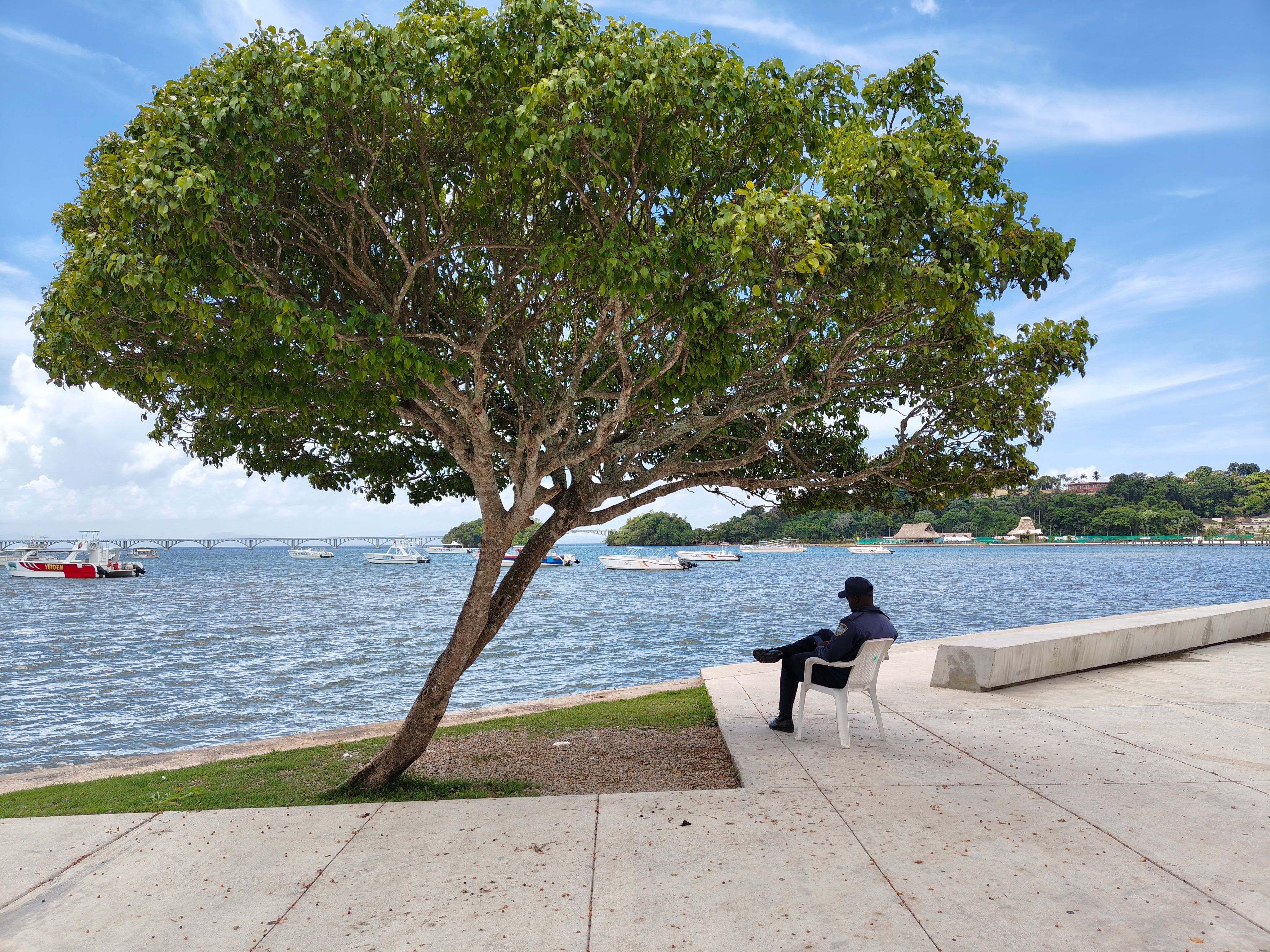 A person sits under a tree by the scenic Samaná waterfront with boats in view, creating a peaceful scene.