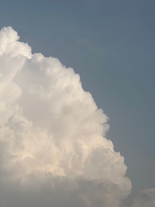 Free Vivid cumulus clouds towering against a clear blue sky, ideal for weather-related themes. Stock Photo
