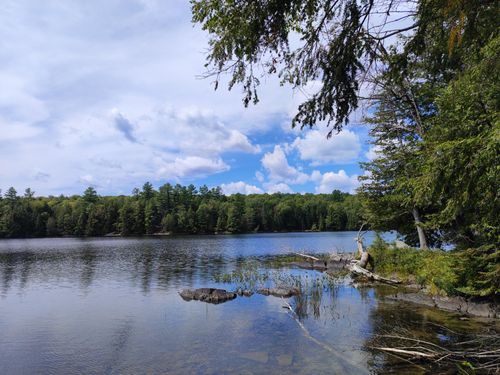 Free Serene lake scene in Toronto with clear sky and lush trees. Perfect for nature relaxation. Stock Photo