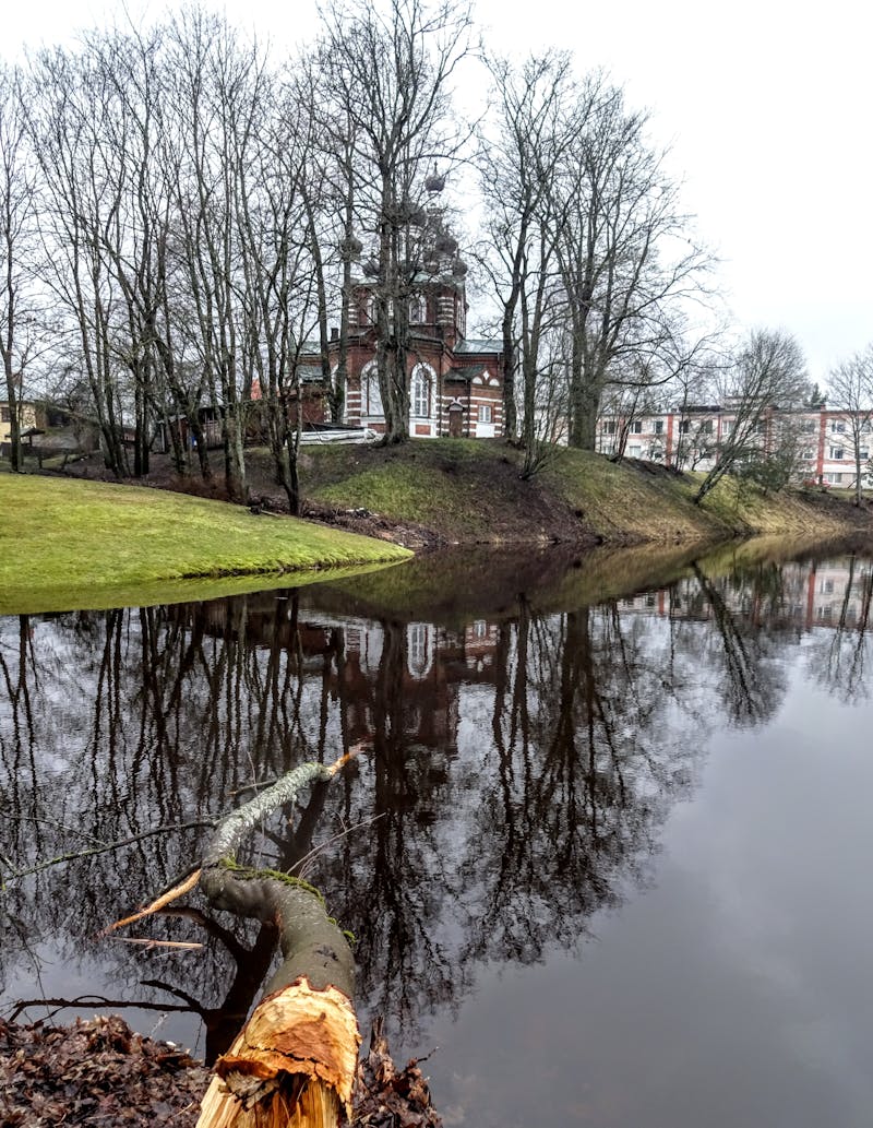 Médico analisando exames de sangue