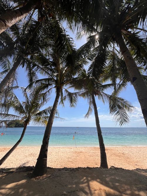 Free A serene tropical beach scene with palm trees framing a clear blue sea under a bright sky. Stock Photo