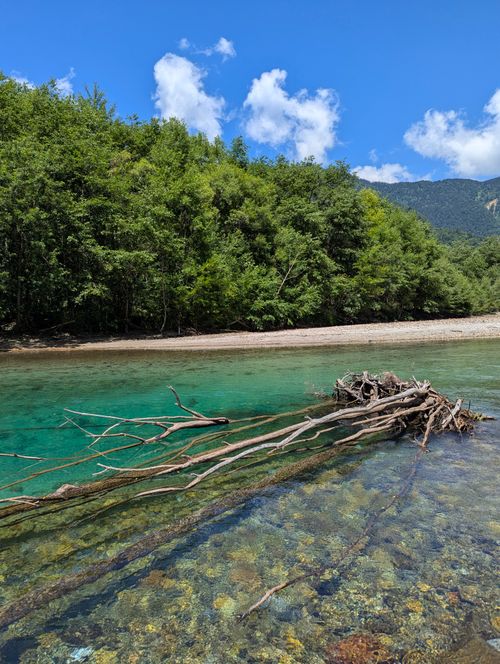 Free Idyllic river and forest landscape in Nagano, Japan with clear turquoise water. Stock Photo