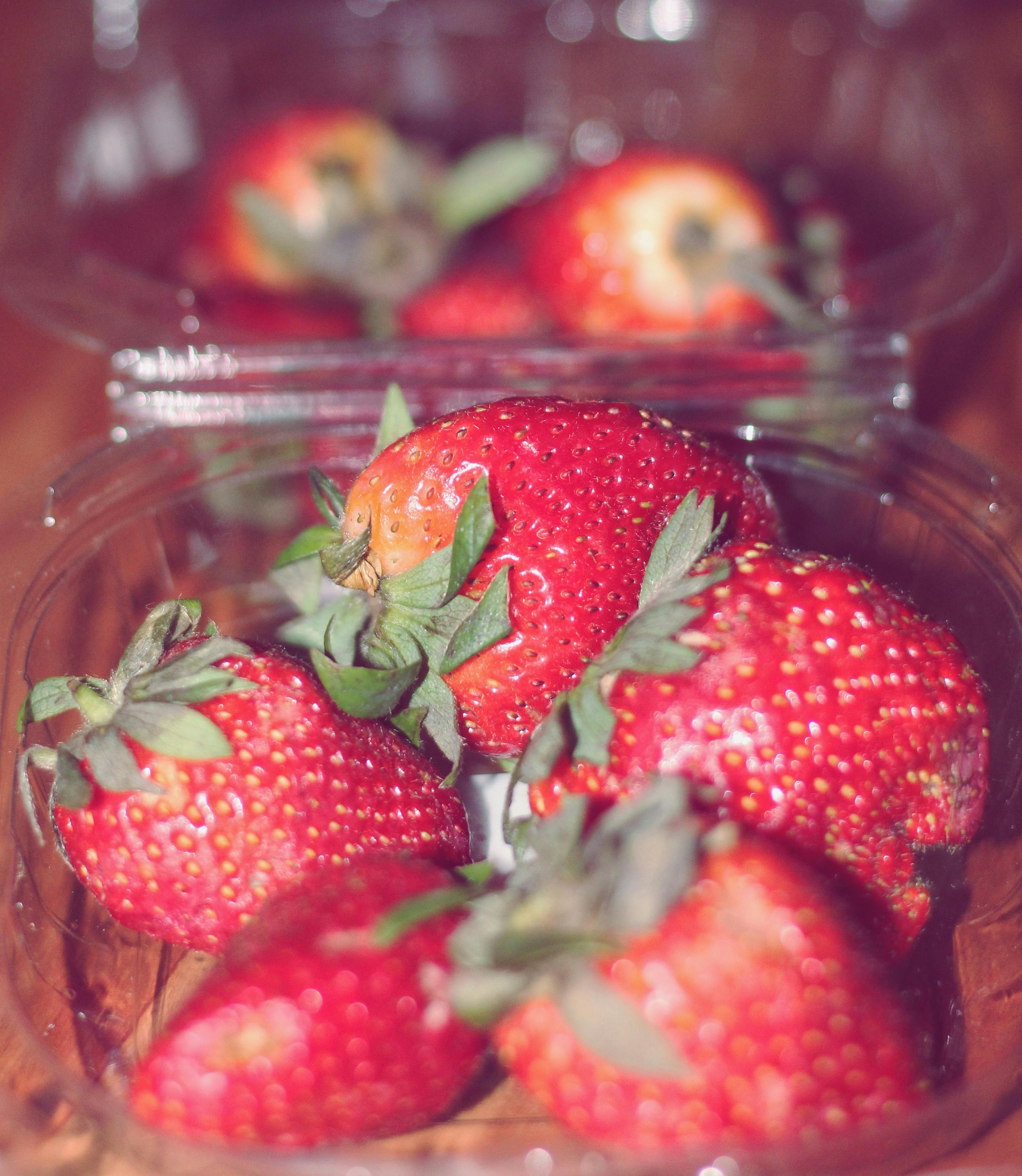 Arrow Sheds Newburgh