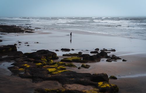 Free A lone person strolls along Morjim Beach, India, with waves crashing against moss-covered rocks. Stock Photo