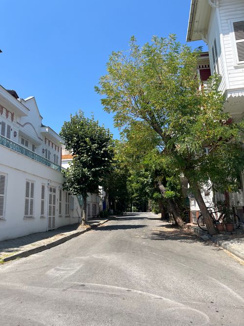 Free Sunny day view of a quiet residential street with traditional Ottoman houses on Buyukada Island. Stock Photo