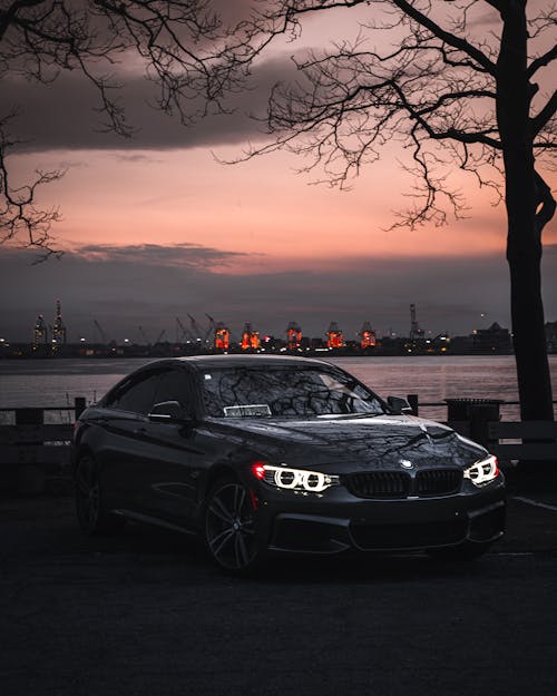 Black Car Parked Beside a Tree